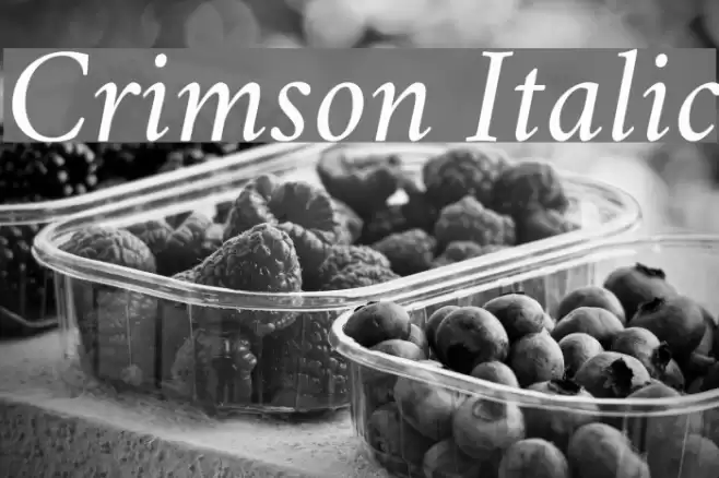 Crimson Italic Font examples