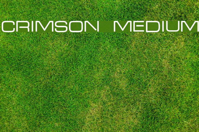 Crimson Medium Font examples