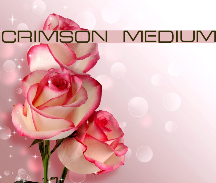 Crimson Medium Font examples