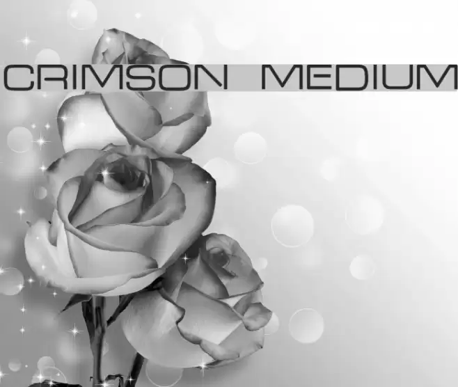 Crimson Medium फ़ॉन्ट examples