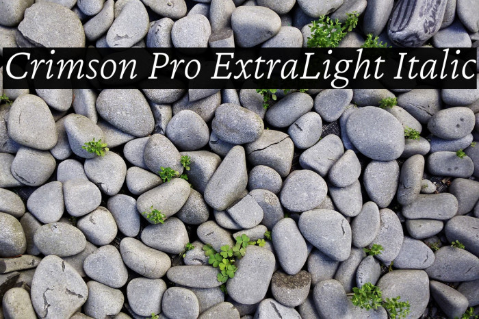 Crimson Pro ExtraLight Italic Font examples