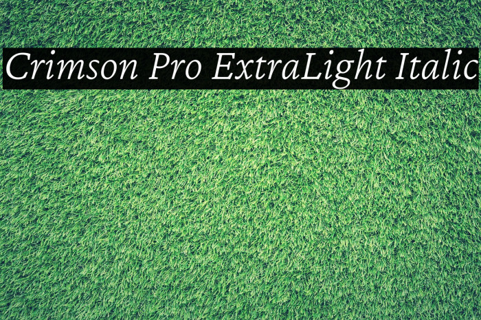 Crimson Pro ExtraLight Italic Font examples