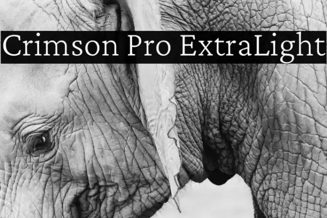 Crimson Pro ExtraLight Font examples
