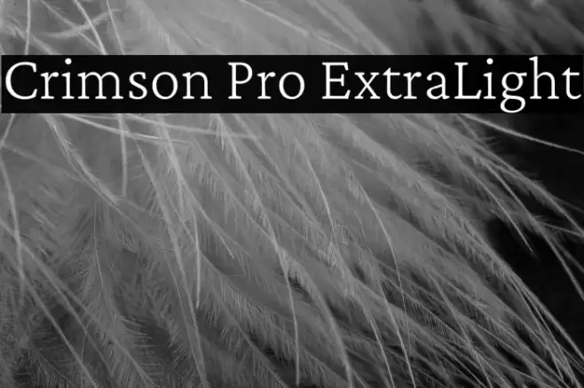 Crimson Pro ExtraLight Font examples