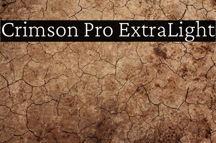 Crimson Pro ExtraLight Font examples