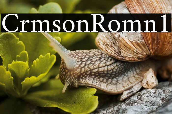 Crimson Roman1 Example 1