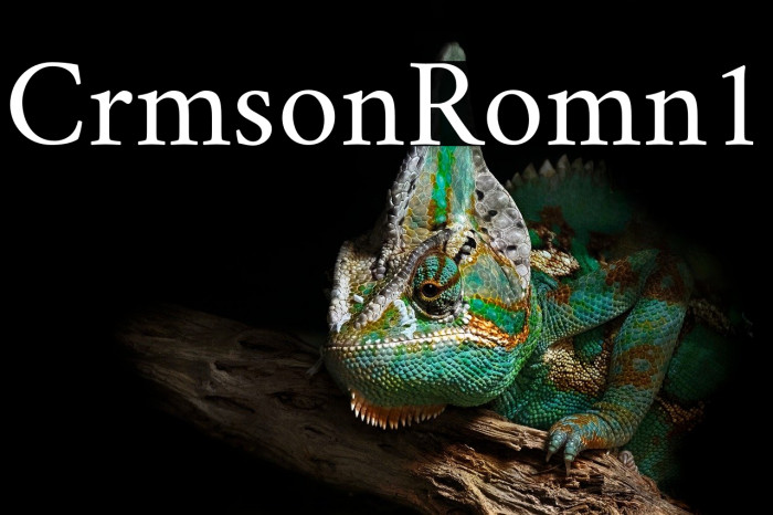 Crimson Roman1 Example 2