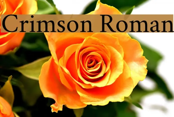 Crimson Roman Example 2
