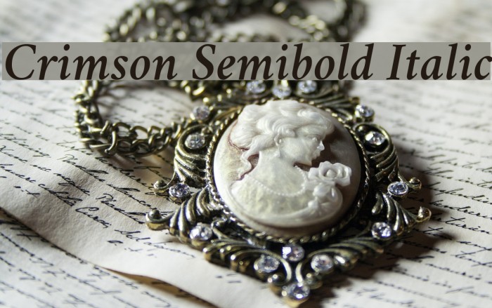 Crimson Semibold Italic Font examples