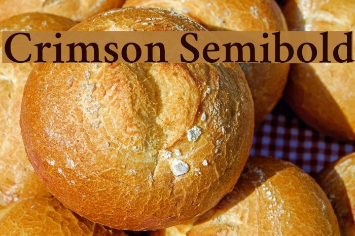 Crimson Semibold Font examples