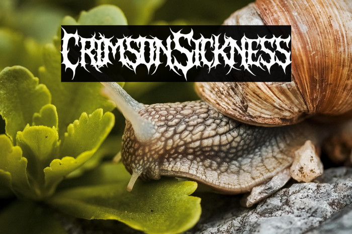 Crimson Sickness Example 1