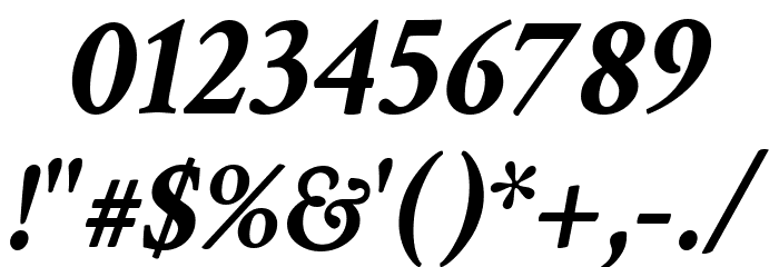 Crimson Text Bold Italic Font OTHER CHARS