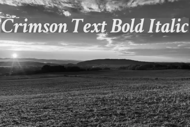 Crimson Text Bold Italic Font examples