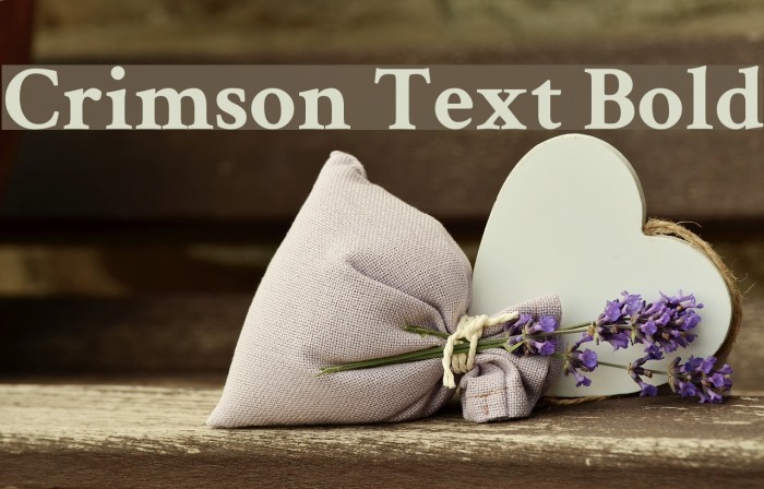 Crimson Text Bold Font examples