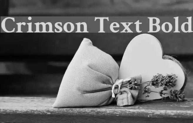 Crimson Text Bold examples