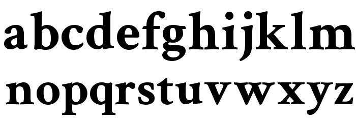 Crimson Text Bold Font LOWERCASE