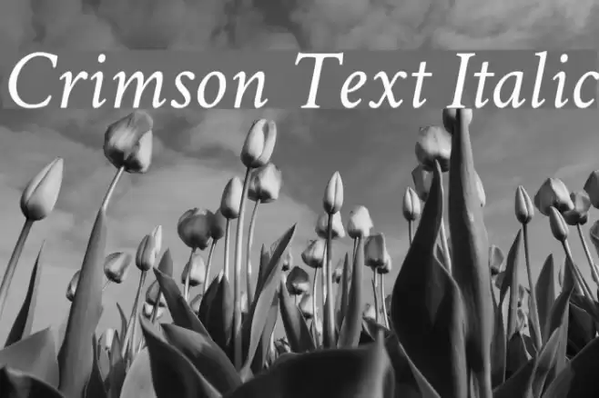 Crimson Text Italic Font examples