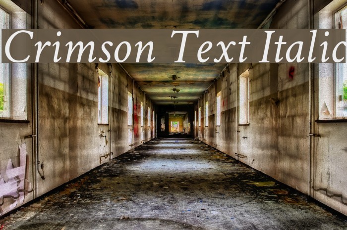 Crimson Text Italic Шрифта examples