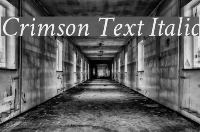 Crimson Text Italic Font examples
