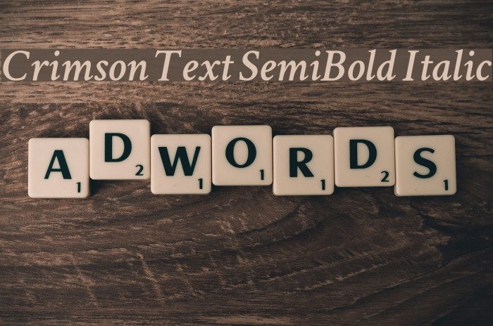 Crimson Text SemiBold Italic Example 2