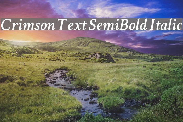 Crimson Text SemiBold Italic Example 3