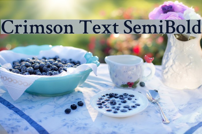 Crimson Text SemiBold Example 1