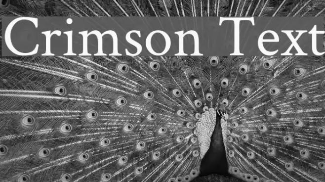 Crimson Text Font examples