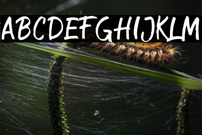 CrimsonBlackDEMO Example 2