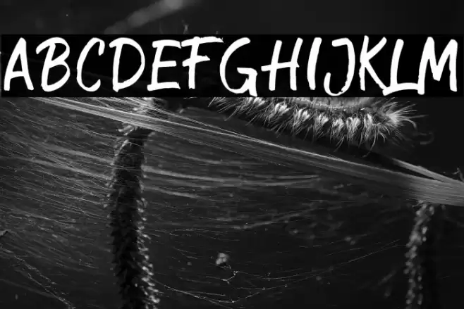 CrimsonBlackDEMO Font examples