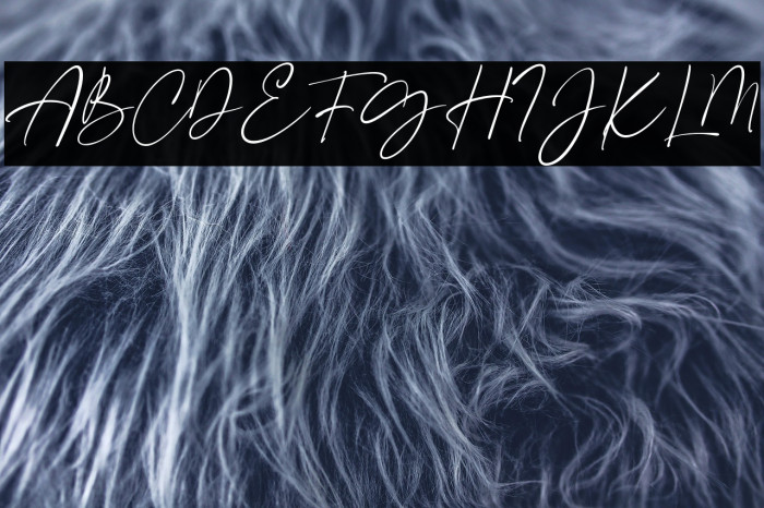 CrimsonFoam-Regular Example 2