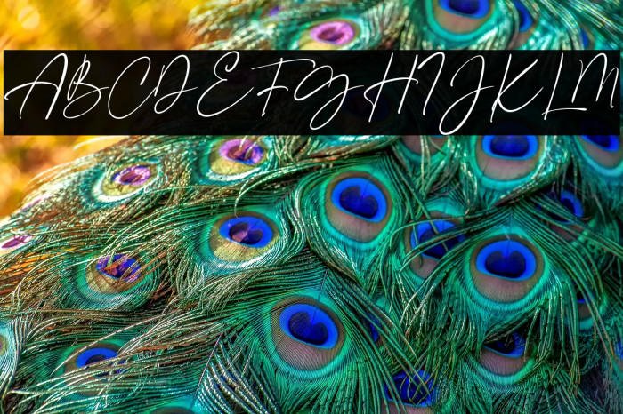 CrimsonFoam-Regular Example 3