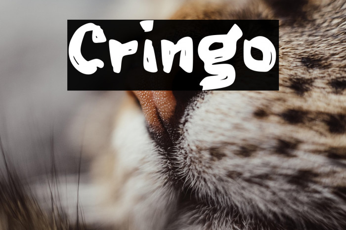 Cringo Example 2