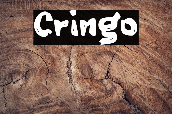 Cringo Example 3