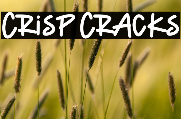 Crisp Cracks Example 3