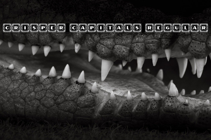 Crisper Capitals Regular Example 3