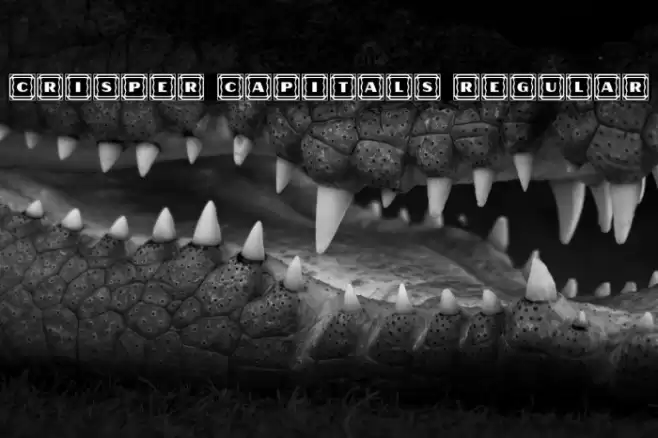 Crisper Capitals Regular フォント examples