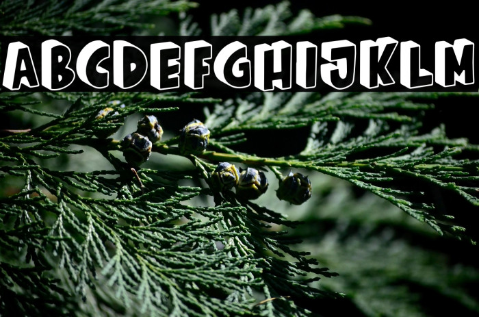 Crispy Cream 3D Example 3