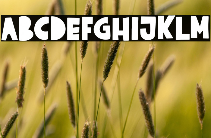 Crispy Cream Bold Example 2