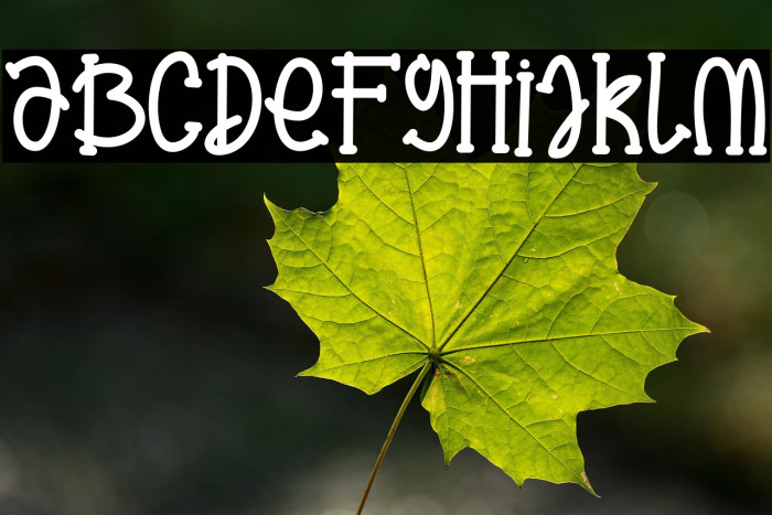 Crispy Crunch Example 1