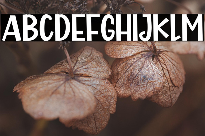 Crispy Duck Example 3