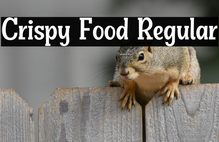 Crispy Food Regular Example 3
