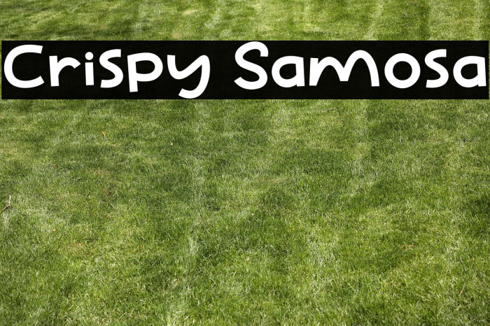 Crispy Samosa Example 3