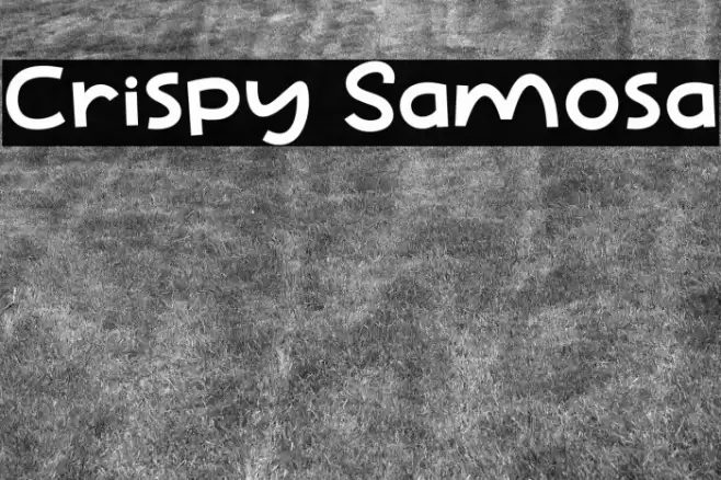Crispy Samosa Font examples
