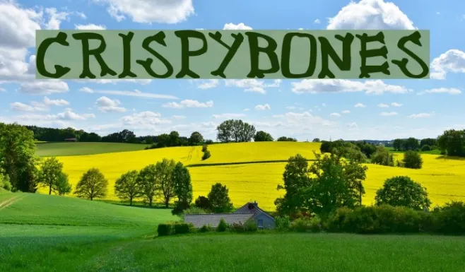 CrispyBones Example 1