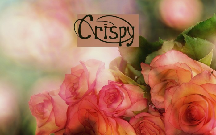 Crispy Font examples