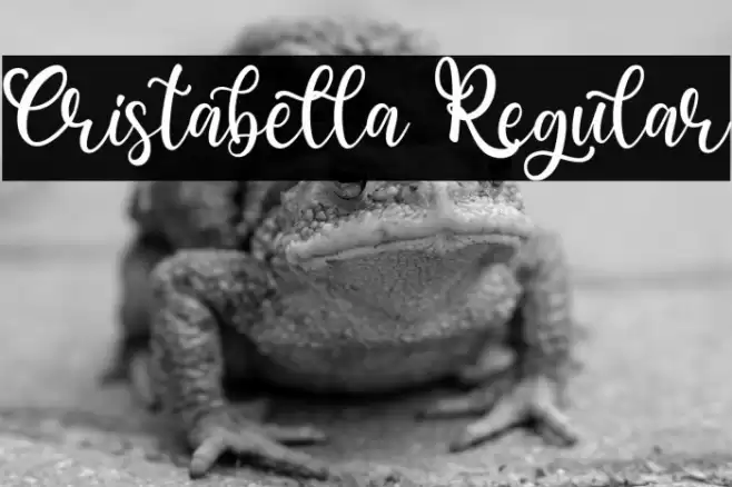Cristabella Regular Font examples