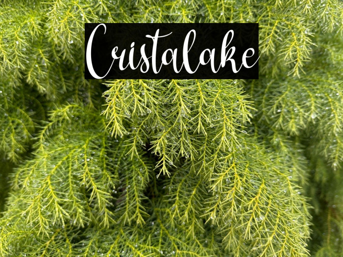 Cristalake Example 1