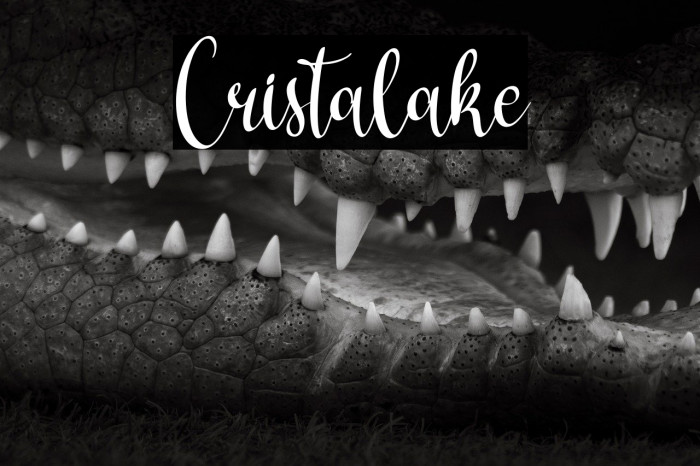 Cristalake Example 2