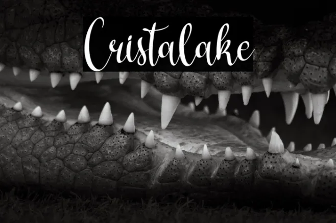 Cristalake Example 2
