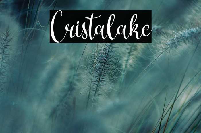 Cristalake Example 3